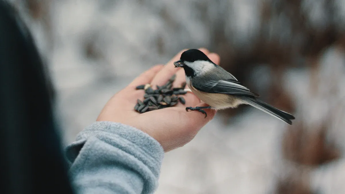 Preparing Freeze Dried Mealworms for Birds