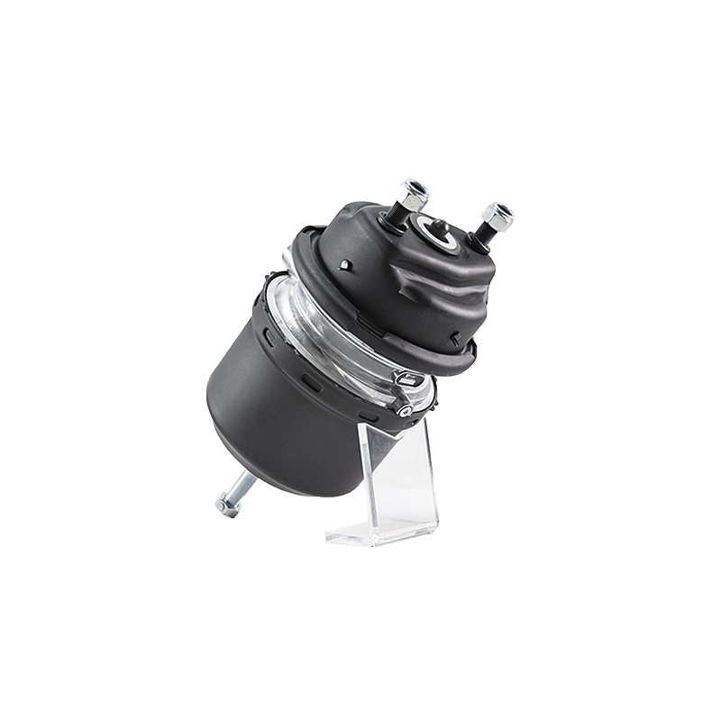 Overview of T30/30DCP DISC Brake Chamber