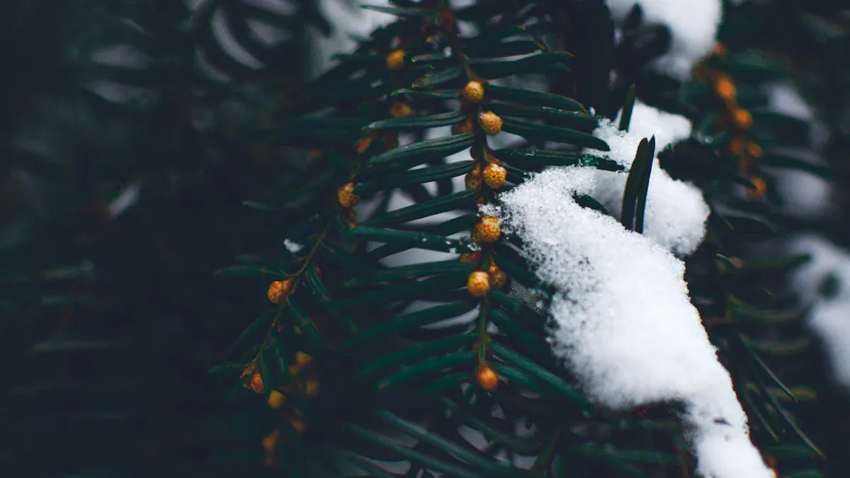Battery Performance in Cold Temperatures