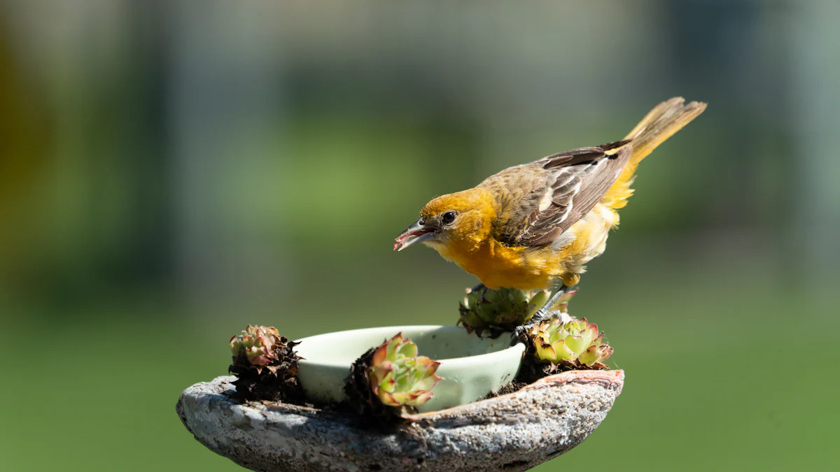 Preparing and Offering Dried Mealworms