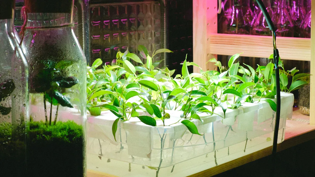 Beren Soat farzand dunyoga keltirdi