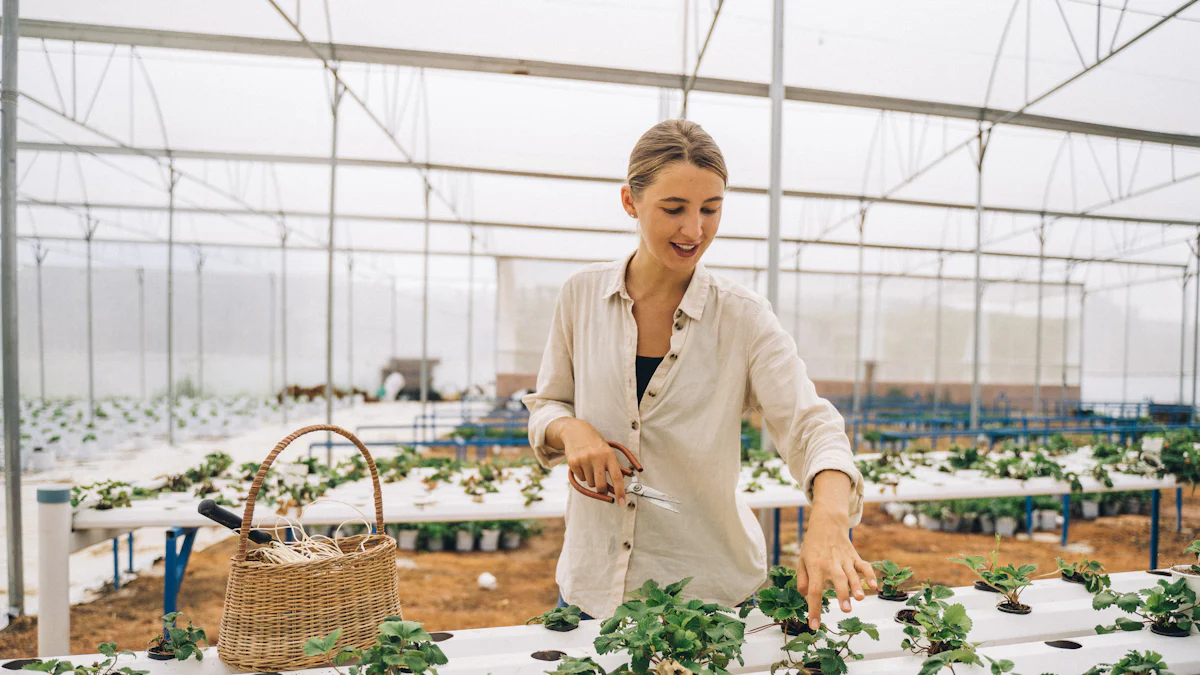 Technological Advancements in Hydroponic Indoor Gardens