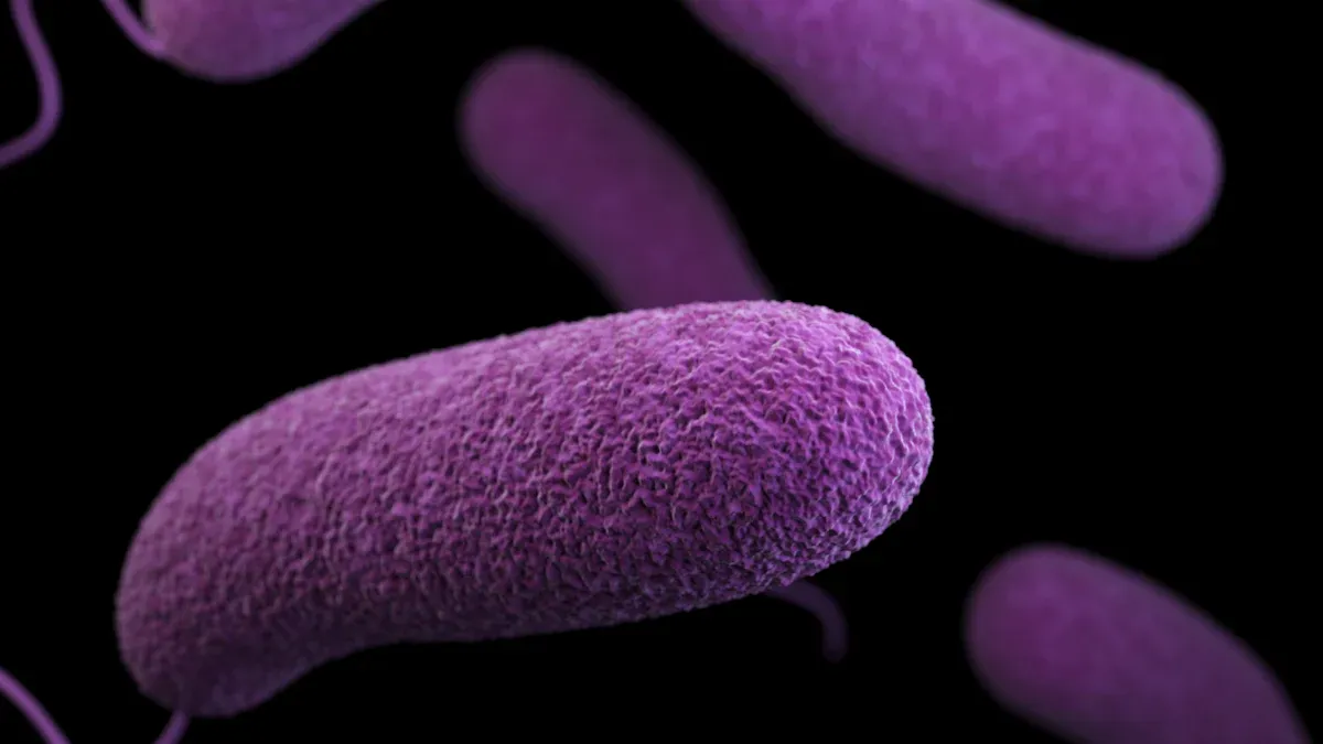 Розуміння комбінованого тесту Vibro Cholerae O139 та O1