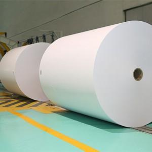 Enhanced Performance and Cost Efficiency with Ultra Hi-Bulk Liquid Uncoated Paper Cupstock Raw Material For Cups