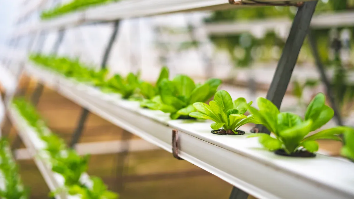 What are the benefits of using a hydroponic system in agriculture?