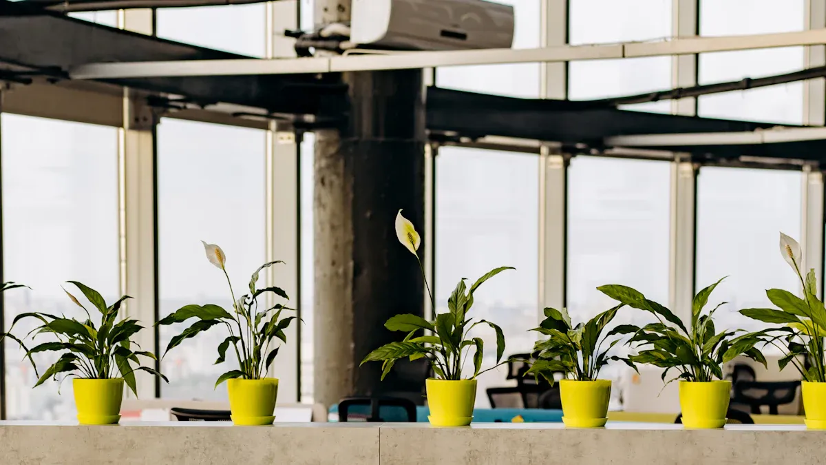 Arten von Multifunktions-Silent-Booths