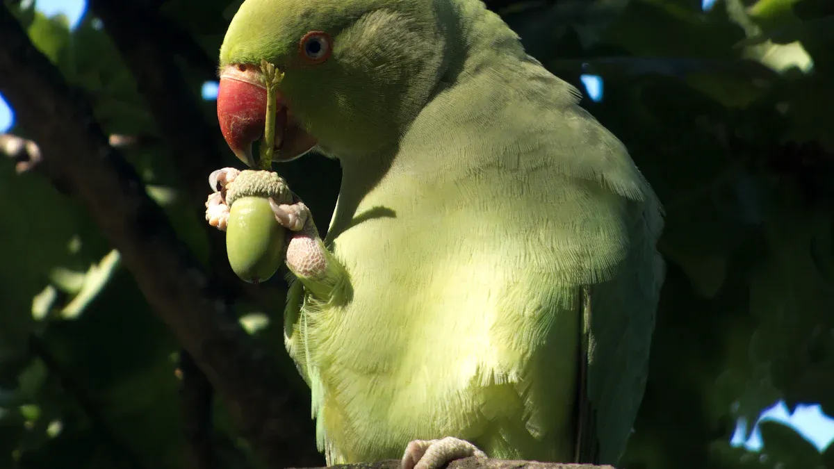 Enhancing Your Parrot’s Diet with Dried Mealworms in 2025