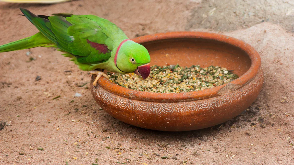 How to Prepare and Mix Dried Mealworms into Parrot Food