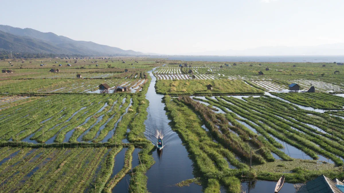 Hydroponic Channels: Growing Systems