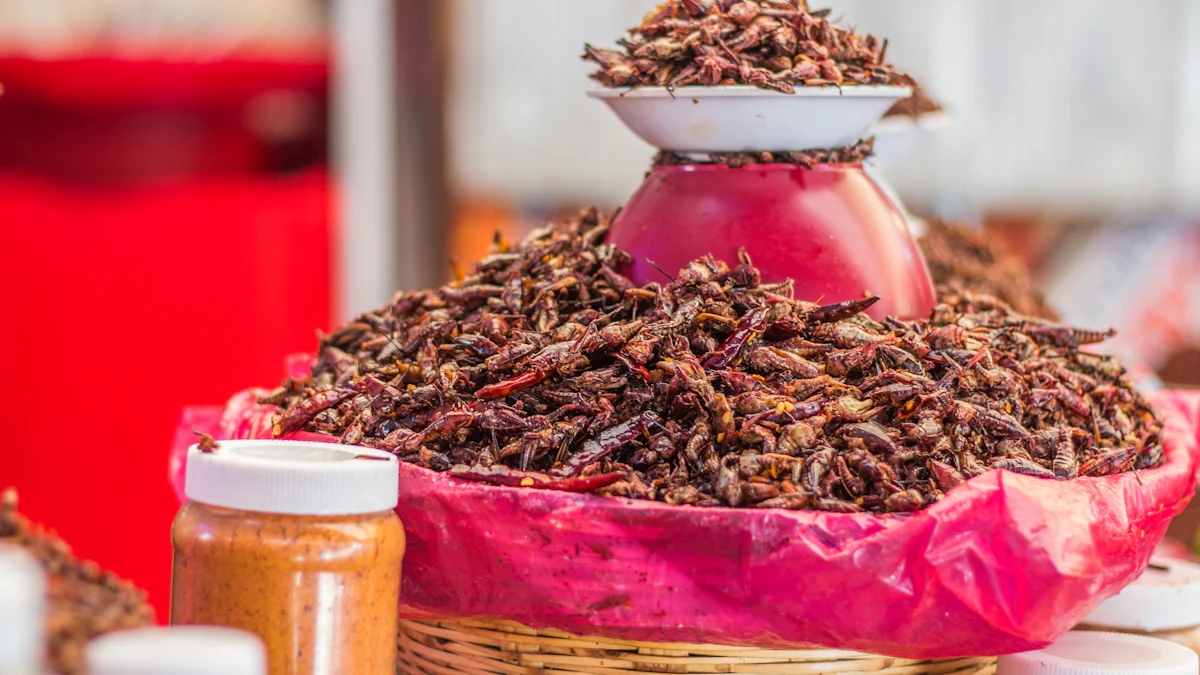 How to Feed and Store Mealworms