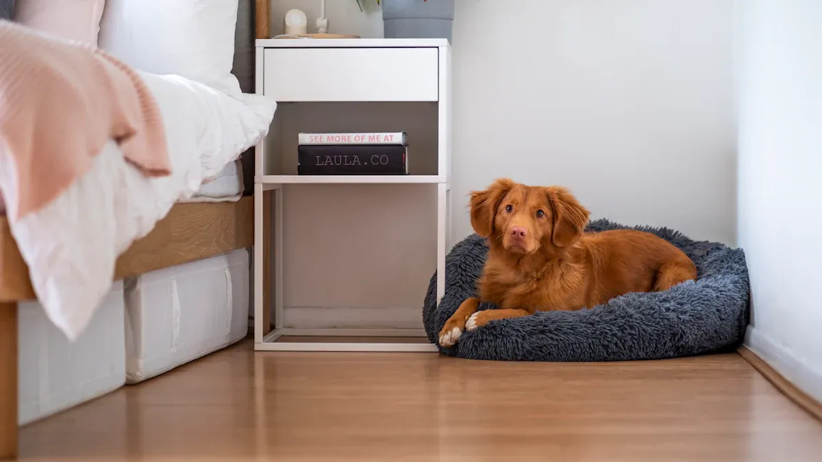 What Makes an Elevated Dog Bed Unique?