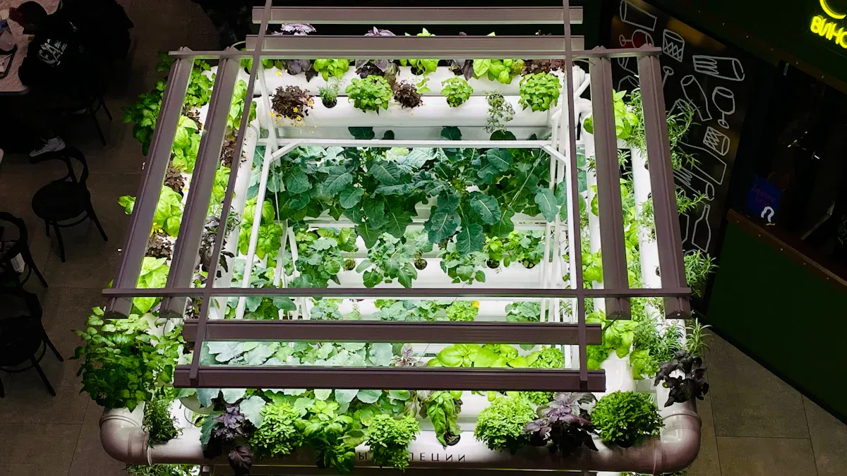 Who is the most trusted commercial hydroponic partner in China