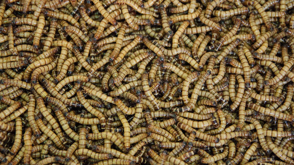 Middle East Pet Owners Swear by Dried Mealworms