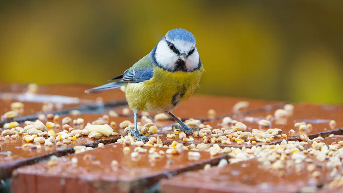 Nutritional Benefits of Bird Mealworms