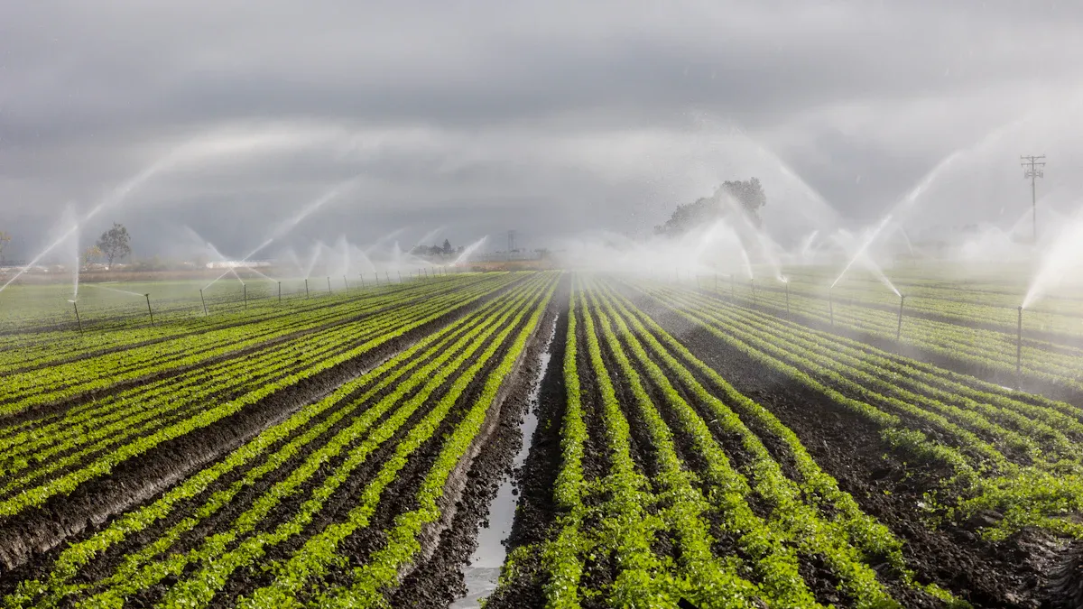 The Imperative for Efficient Agricultural Irrigation