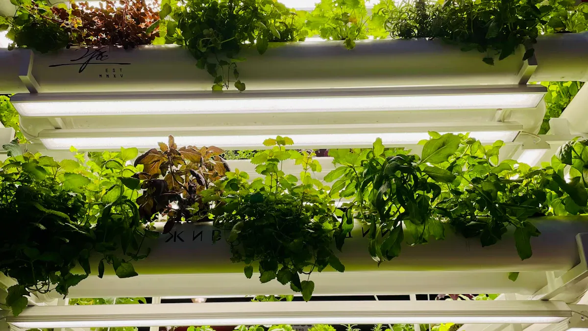 Core Technological Innovations of Guangzhou Smart Agriculture Technology Co., Ltd.