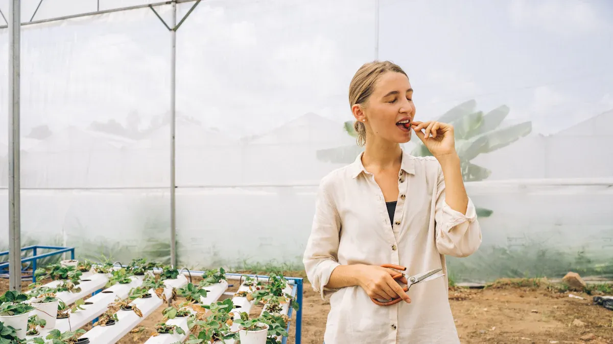 Key Considerations for Project Implementation of a Hydroponic System