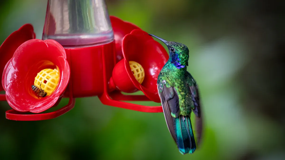 How Bird Dried Mealworm Topping Can Attract Colorful Birds