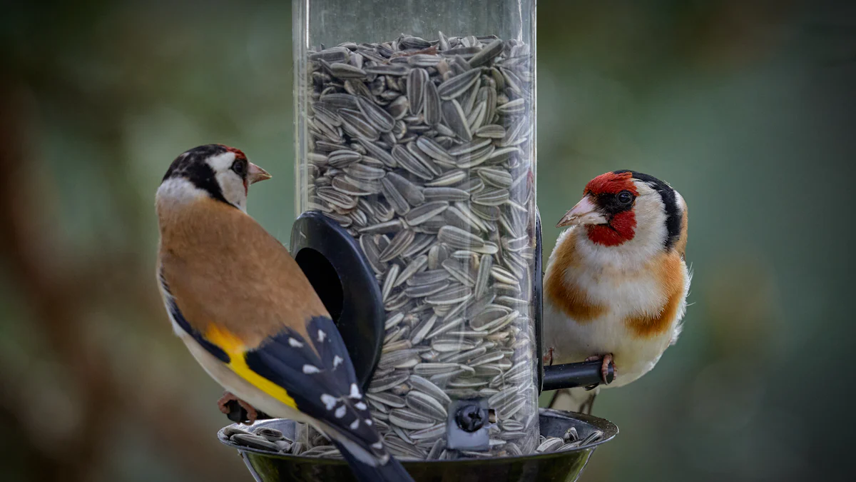 Types of Birds That Eat Dried Mealworms