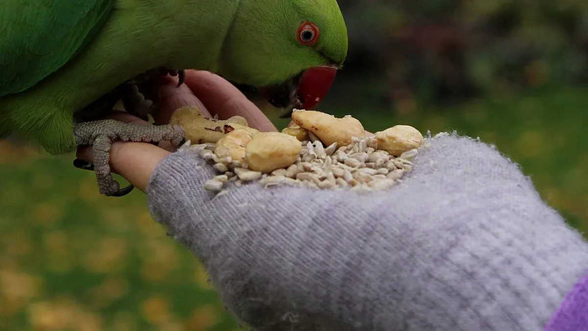 Can Mealworms Make a Difference in Your Parrot’s Daily Diet?