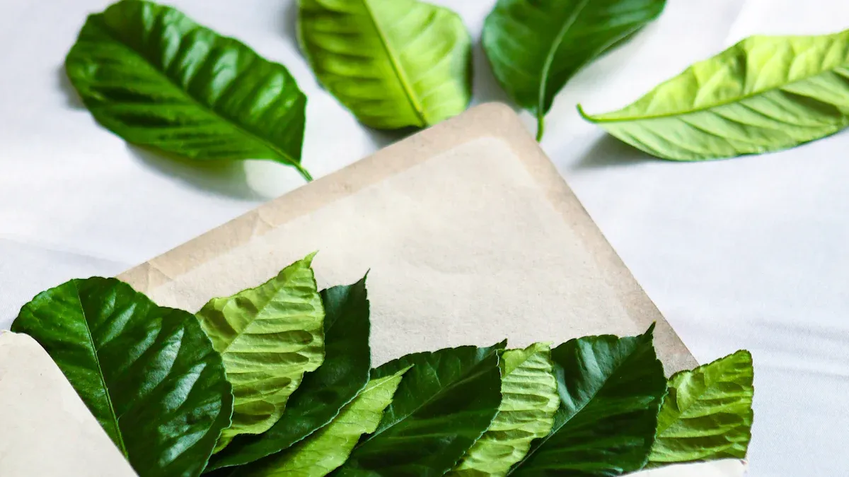 What Defines an Eco-friendly Paper Food Grade Tray Material