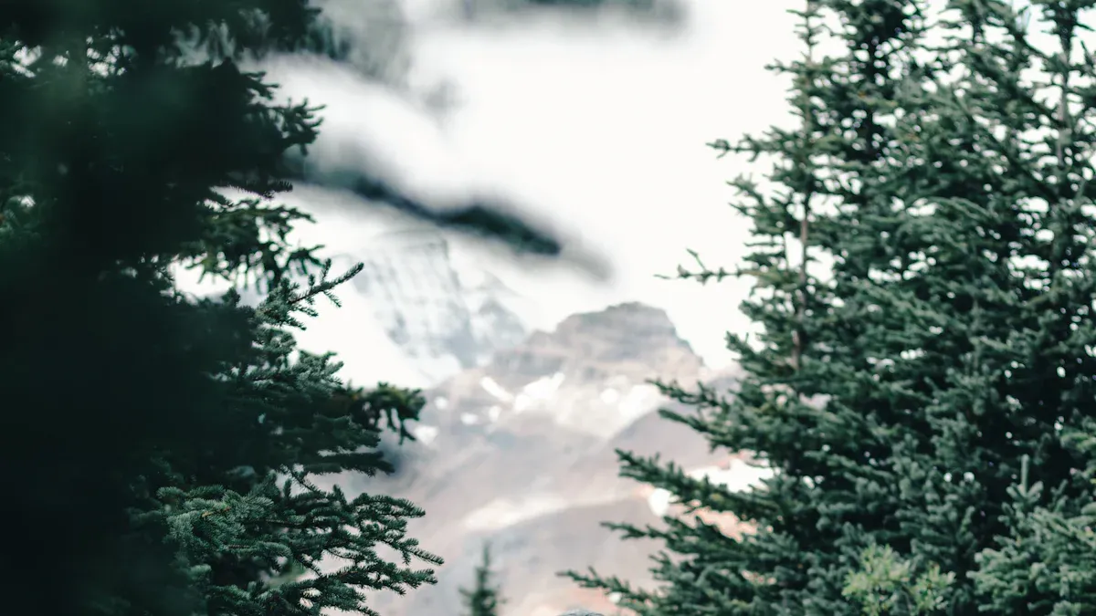 Rechargeable Headlamps: Save Money & Reduce Waste