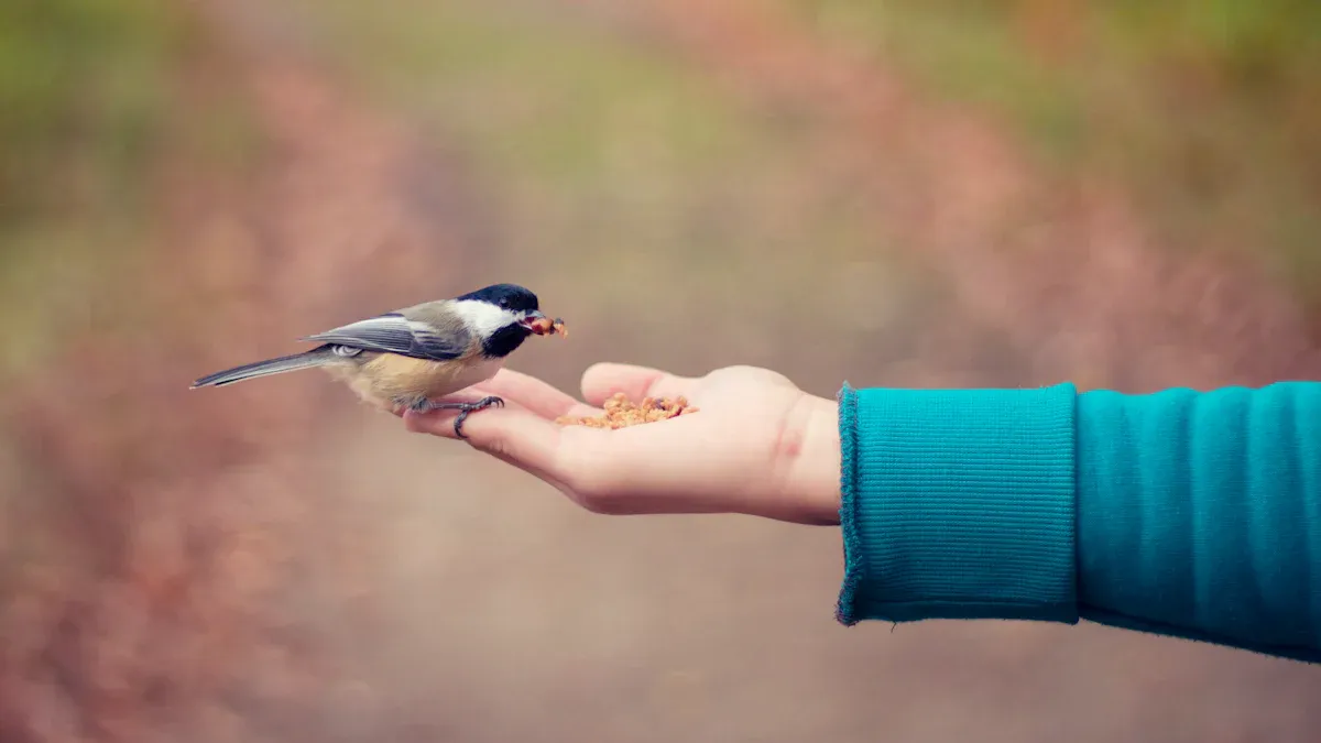 How to Feed Freeze Dried Mealworms to Wild Birds