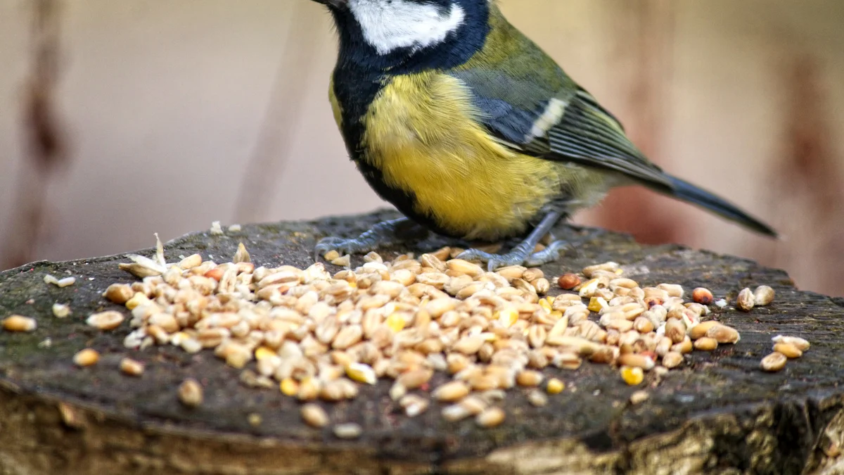 How to Feed Dried Mealworms to Birds