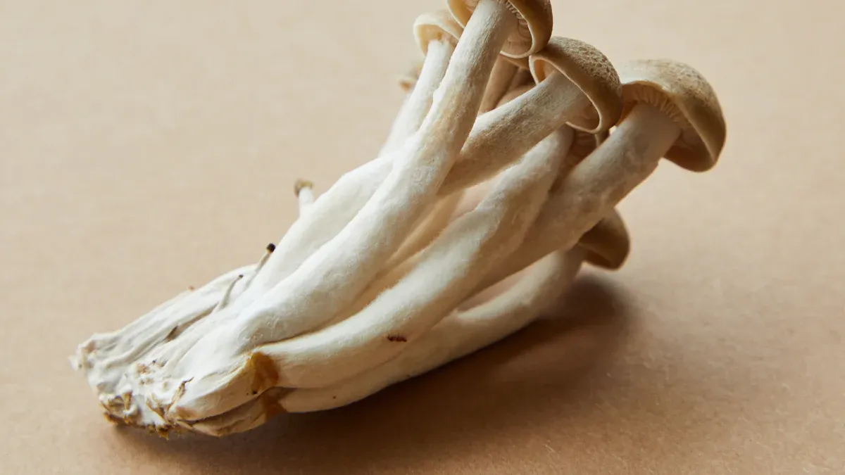 Својства на материјалите за вилична плоча