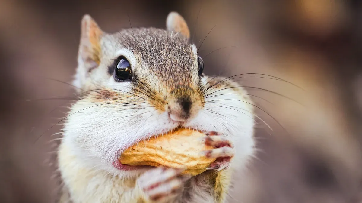 Mealworms in Pet Care: Nutritional and Health Benefits