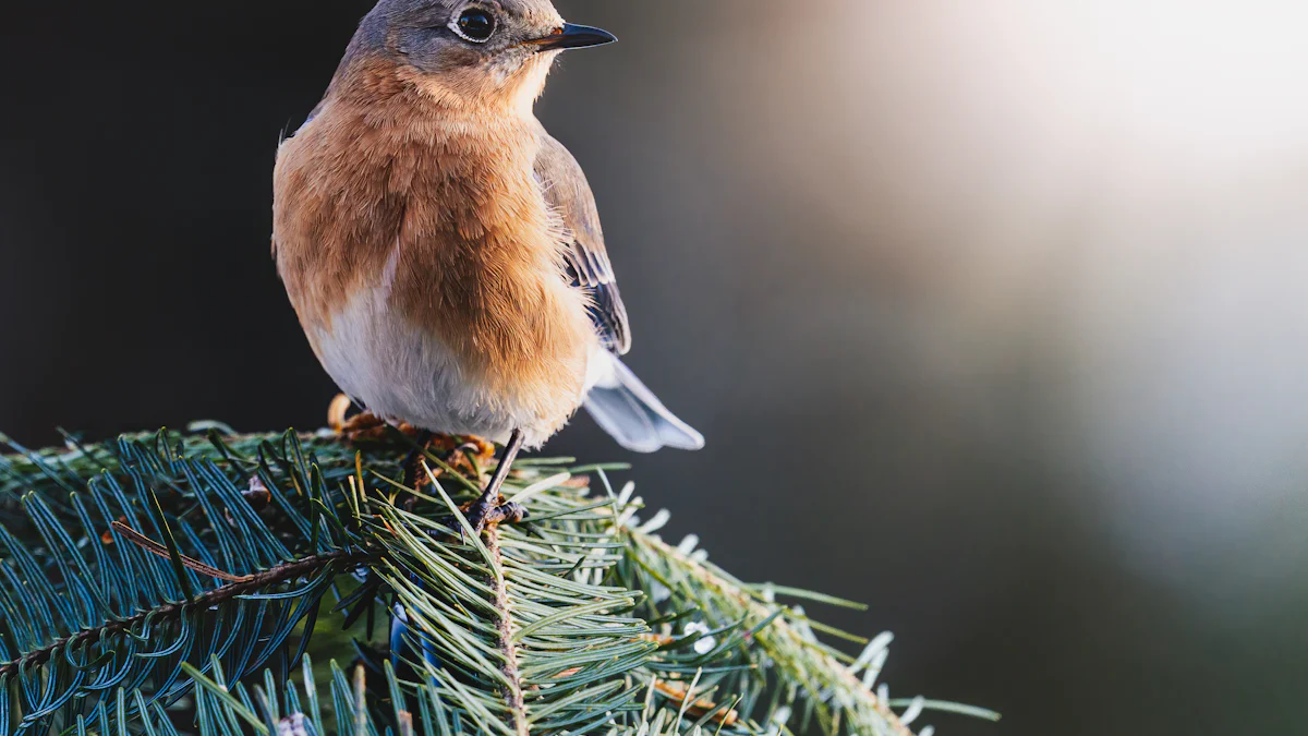 Are Dried Mealworms Healthy for Birds