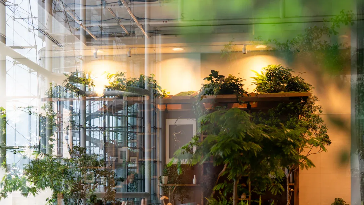 Understanding Hydroponic System