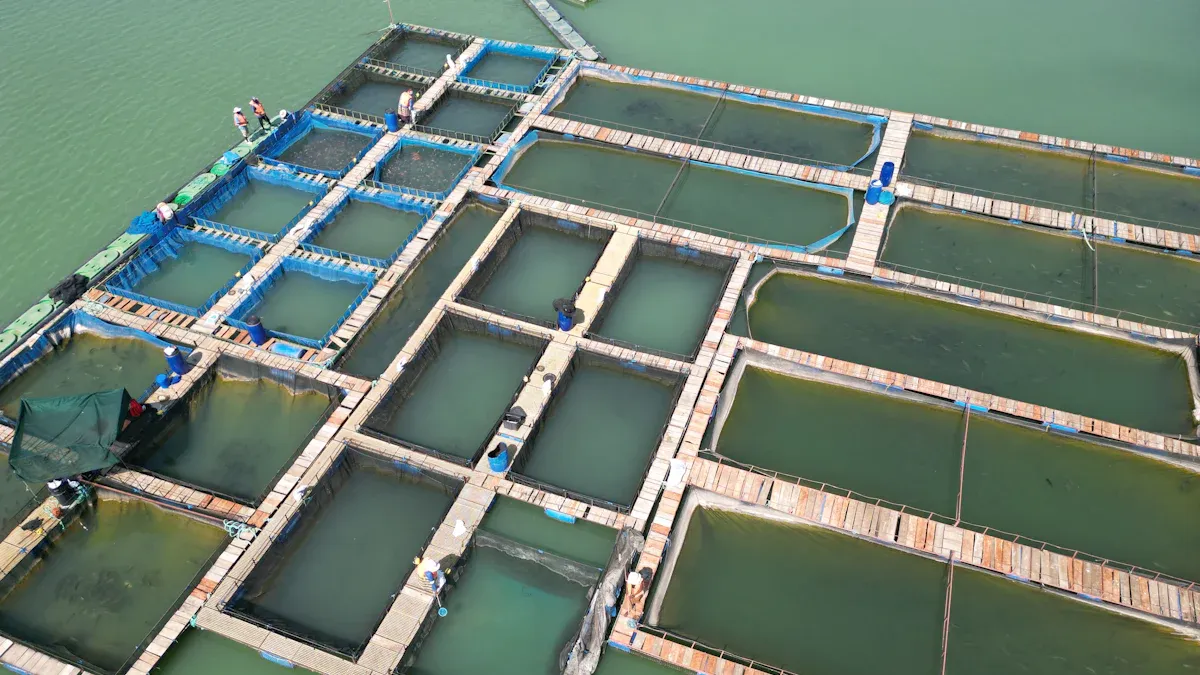 Growth Potential of Aquaculture Dried Mealworms in North America