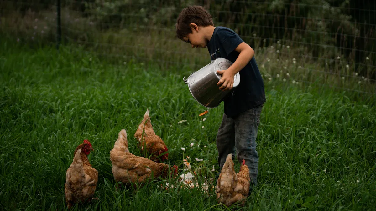 The Case for Mealworms for Chicken Feed