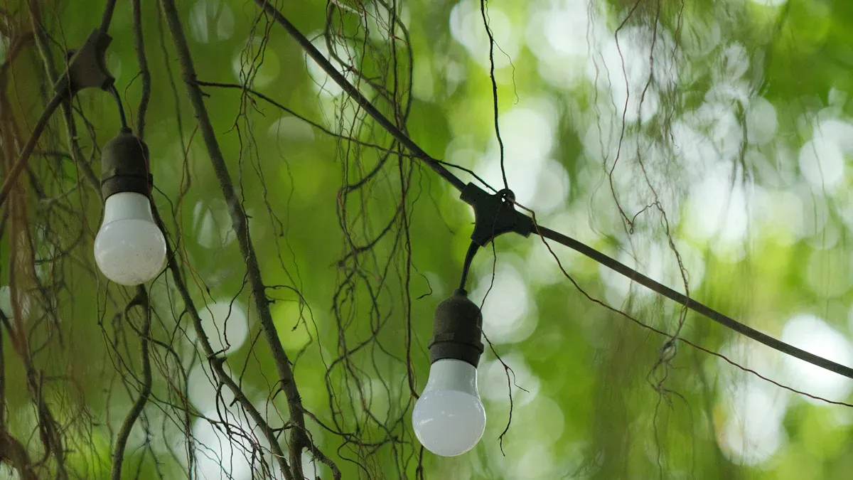 Philips Lighting (Signify)