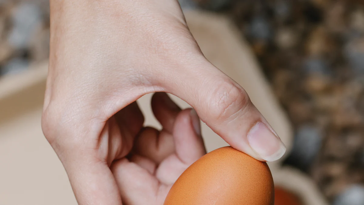 Incorporating Mealworms Into Chicken Feed