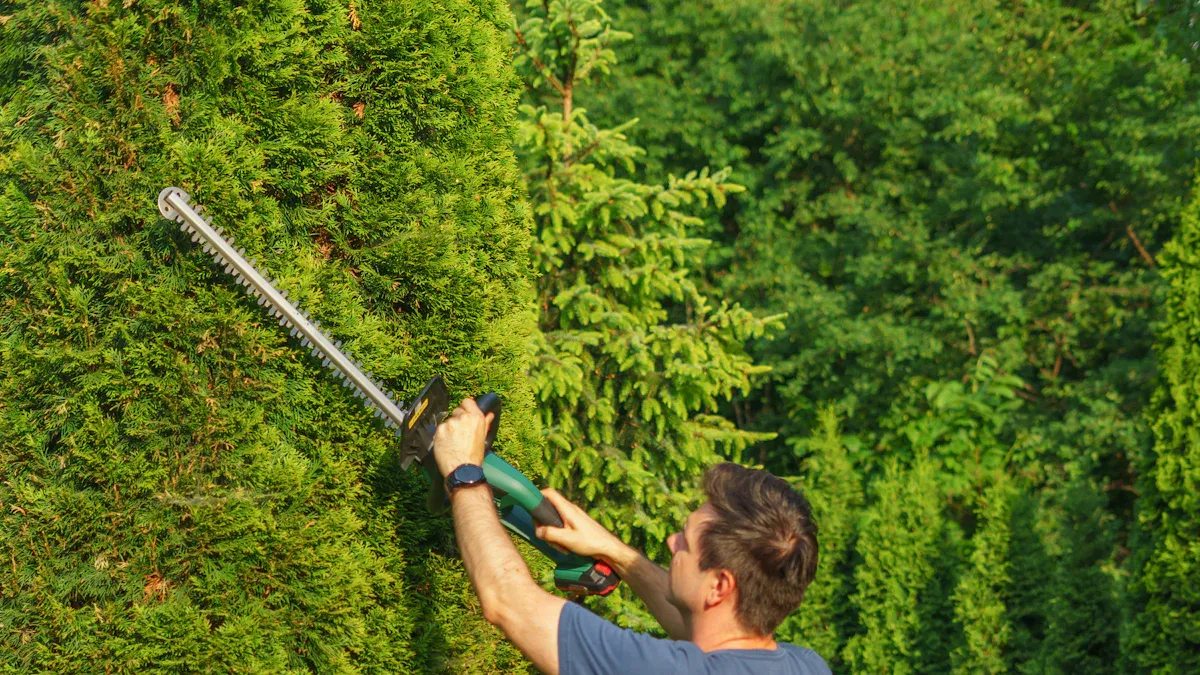 General Maintenance Steps for Pole Hedge Trimmers