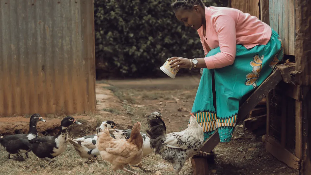 Bulk Mealworms for Chickens and Birds: Health and Productivity