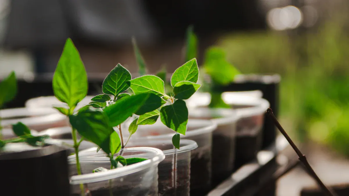 What Are Hydroponic Seedling Media?