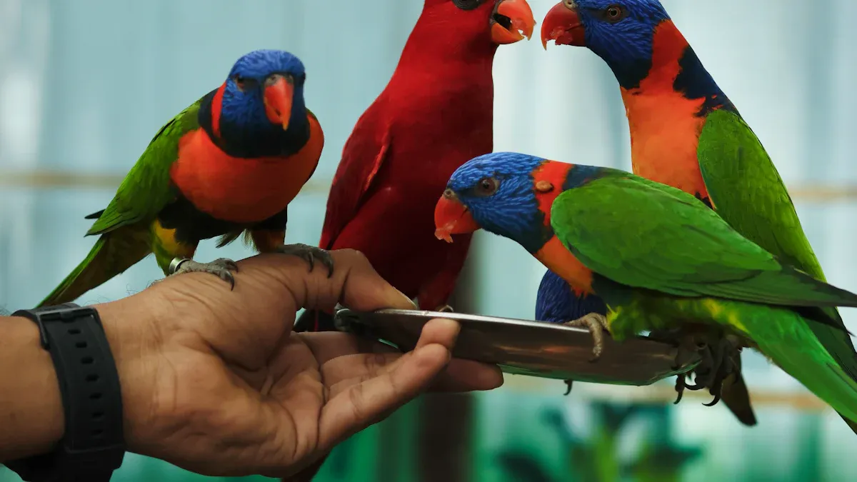 Mealworms for Parrot Diets: Safe Feeding Practices and Considerations