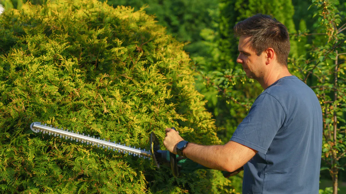 A Beginner's Guide to Pole Hedge Trimmer Maintenance