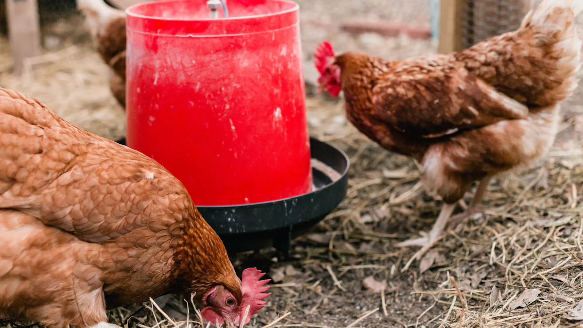 Why Dried Worms for Chickens Are Beneficial