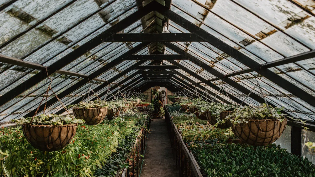 Building the Hydroponic Farm Setup