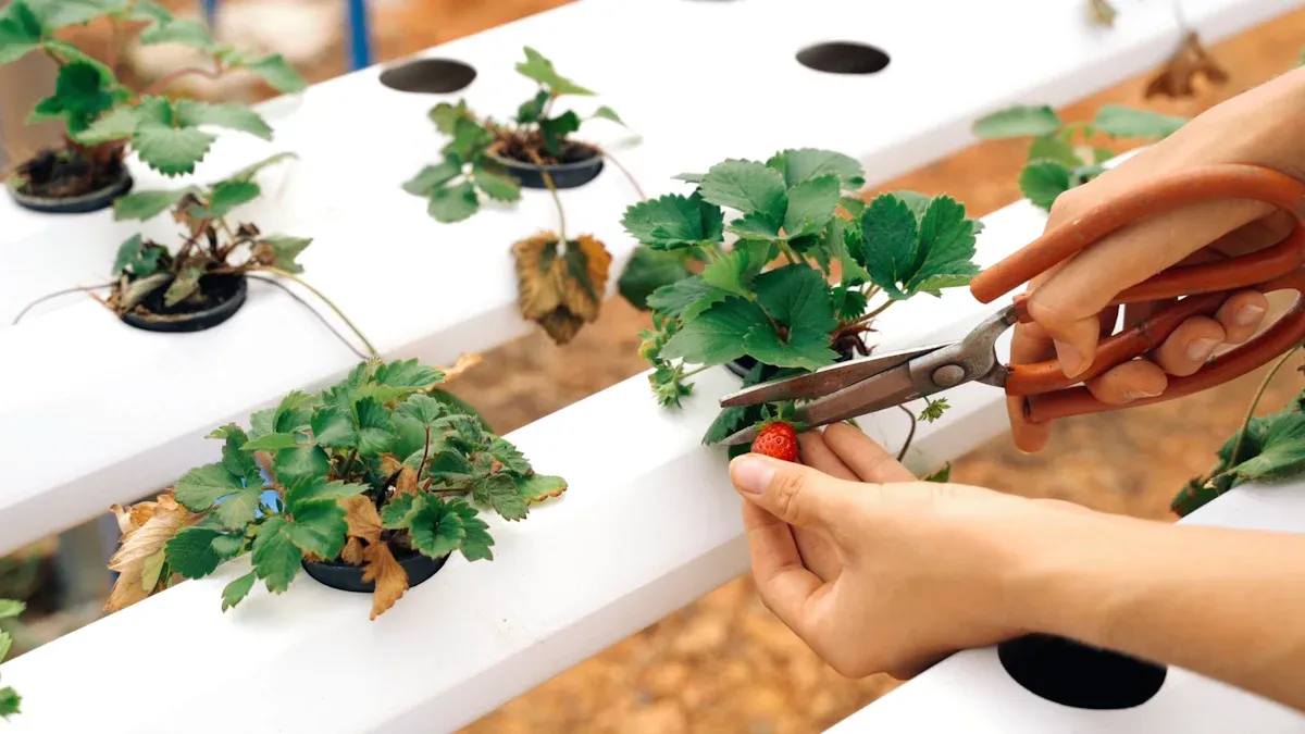 Essential Hydroponic Equipment