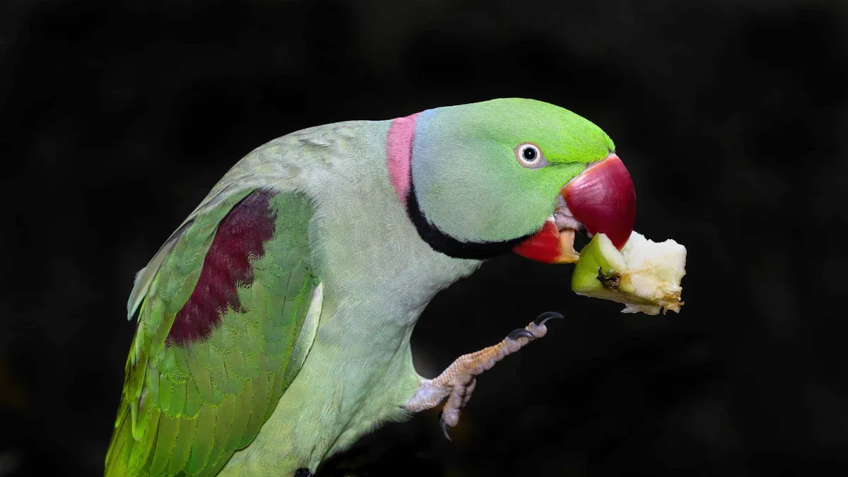 Nutritional Benefits of Mealworms for Parrot