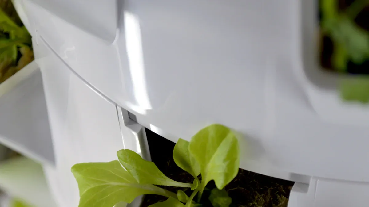 Setting Up Your First Hydroponic Kit: A Quick Overview