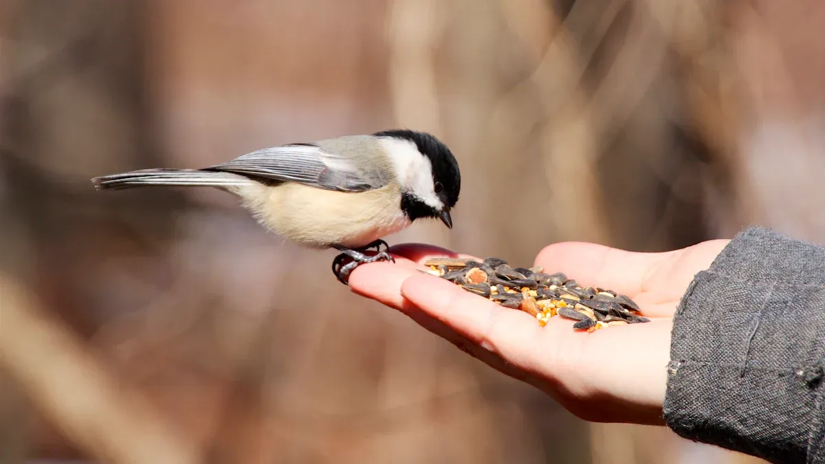 Nutritional Benefits of Meal Worms Bird Food