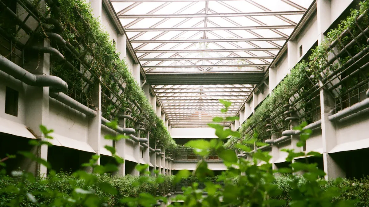 Who is the most innovative supplier for automated hydroponic systems in China?