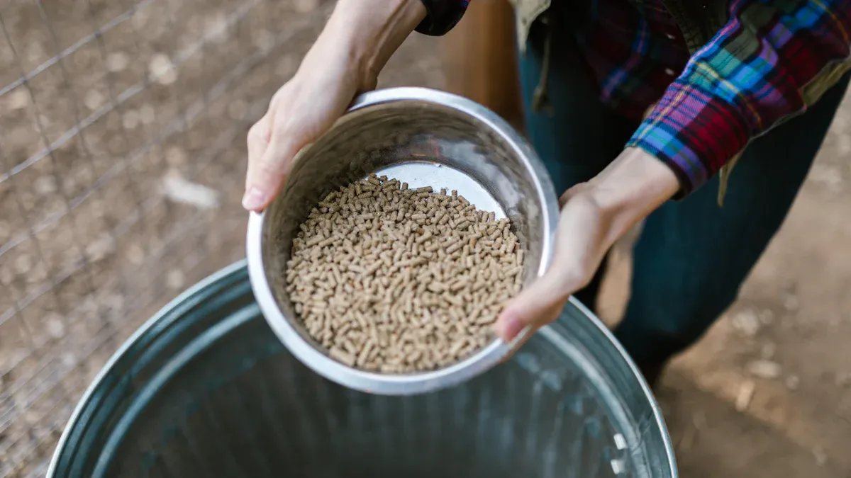 Mealworms vs Traditional Feed for Poultry Growth