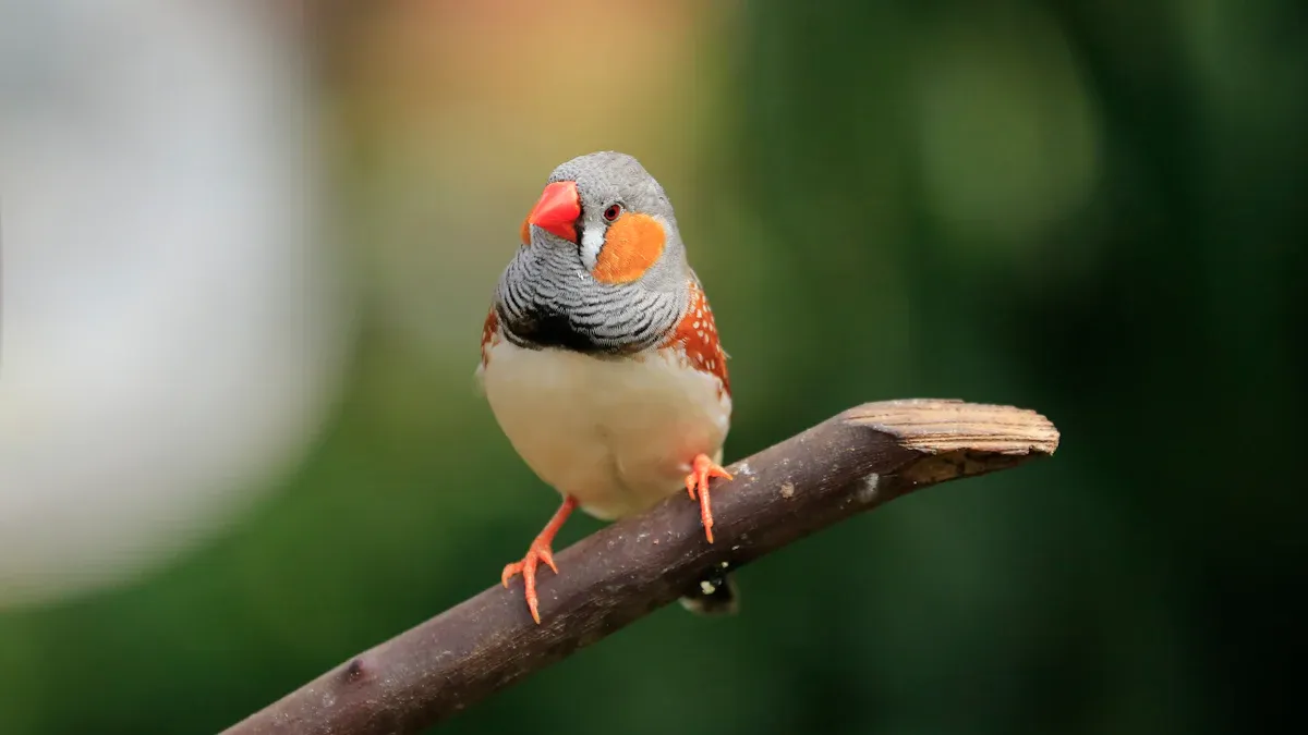 Practical Tips for Feeding Mealworms for Parrot